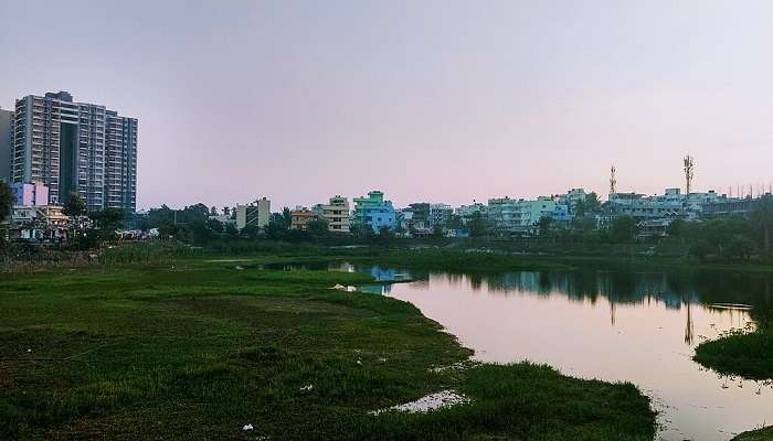 A view of one section of Puttenahalli Lake near Hotels in Yelahanka .