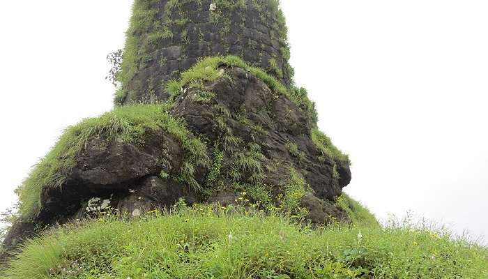 Rajmachi Fort