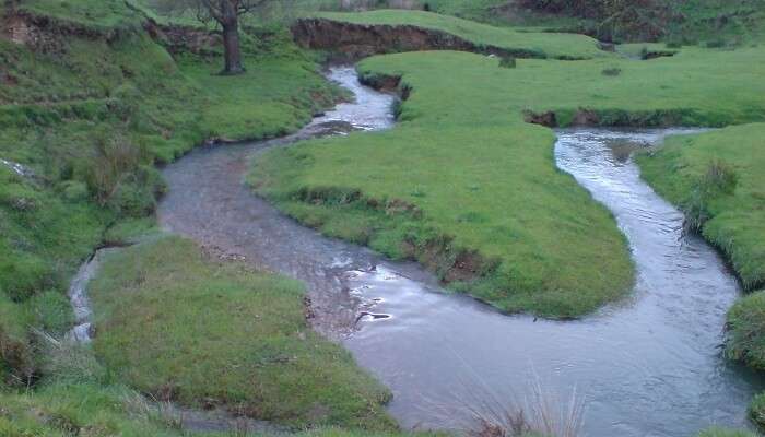 Reconnectez vous avec la nature la beauté des environs de Waitomo