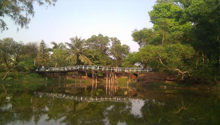 Lush green pathways of Sahakari Spice Farm in Goa