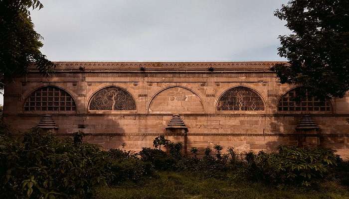 Sidi Saiyyed Mosque in Ahmedabad