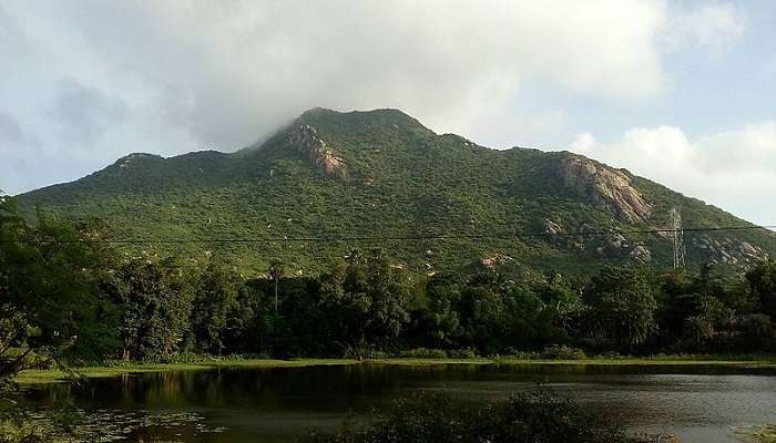 Simbalbara National Park is a lush green sanctuary near Paonta Sahib