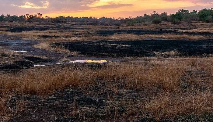 Enjoy watching the biodiversity of Socorro Plateau near the Pomburpa springs.