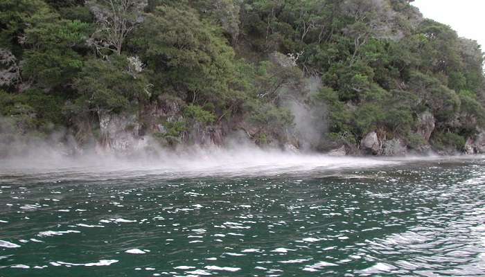 Sources chaudes du lac Tarawera