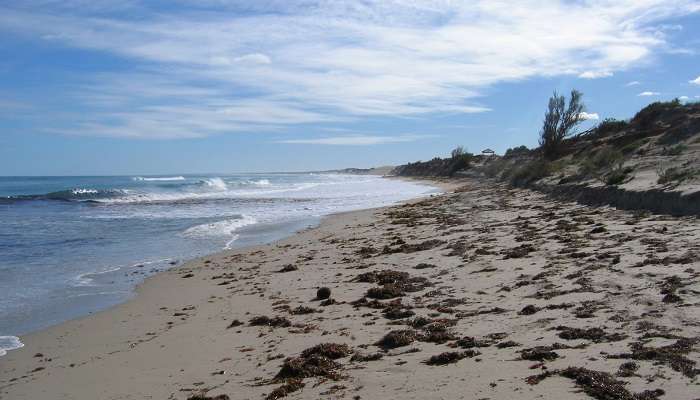 Sports nautiques ou détente et méditation sur les plages de Geraldton