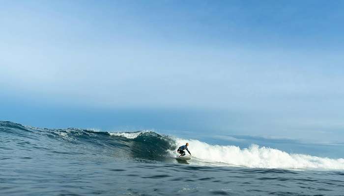 surf house patong beach