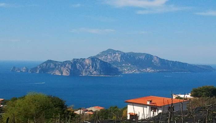 One of the highlights of a trip to Sorrento is the opportunity to take a boat tour 