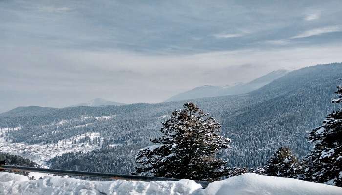 Picturesque Tangmarg Meadow 