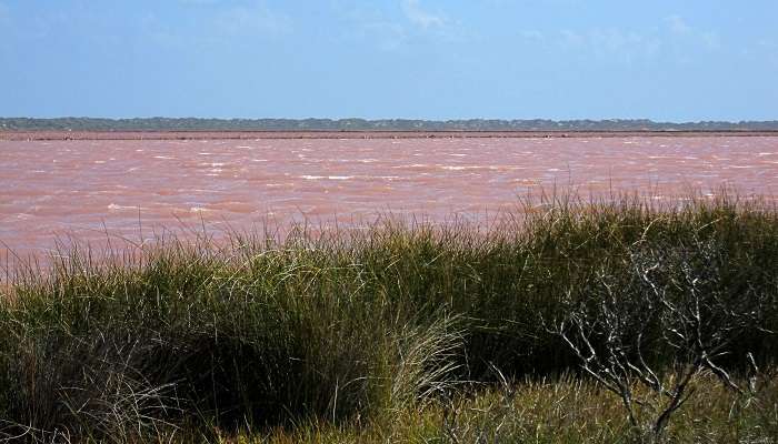 Témoin Le magnifique lagon de Hutt