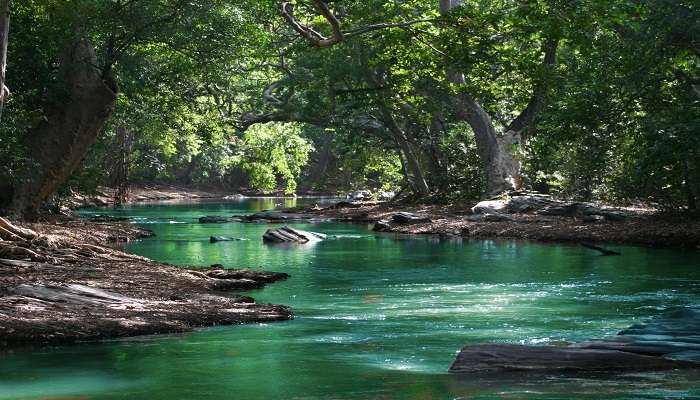 Thadagam River