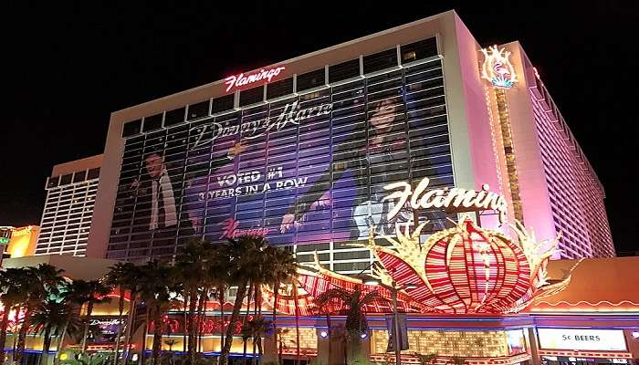 The Flamingo Hotel, haunted places in Las Vegas