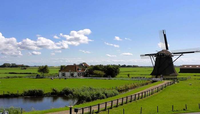 Visit the Dutch-style windmill in the park