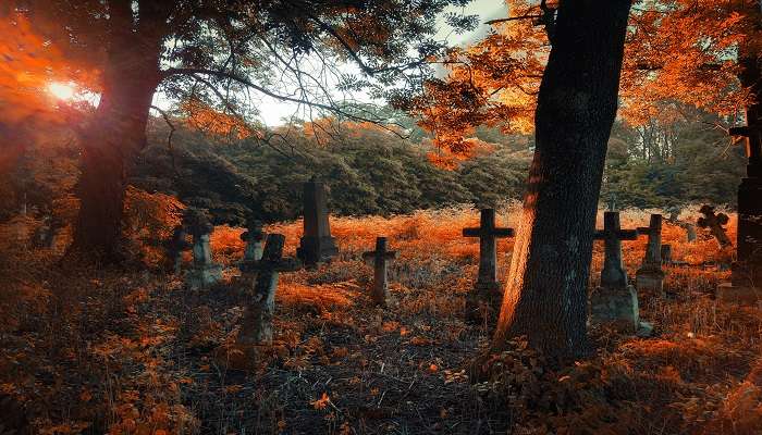 Visit Old Cemetery for paranormal activities.