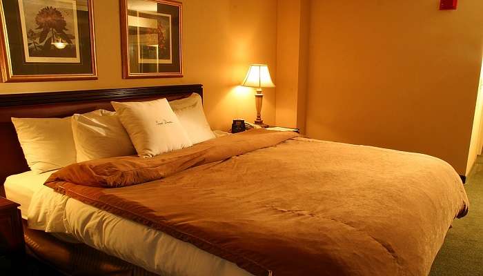 A luxurious hotel bedroom in Adambakkam.