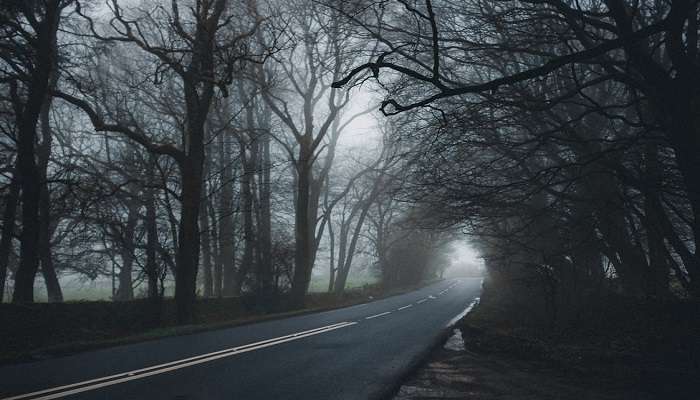 The Rajkot Road, an essential road