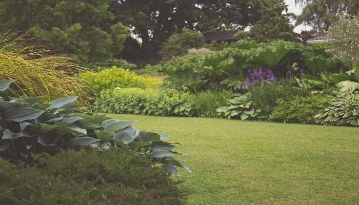 The Sculpture Garden in the Mohan Shakti Heritage Park is an open gallery