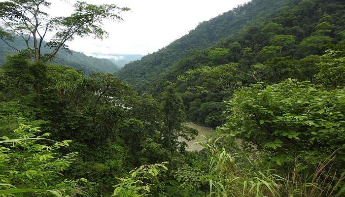 The Kameng River flowing. 