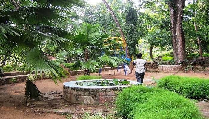 Thumboormuzhi Butterfly Garden near Sholayar Dam in Kerala.