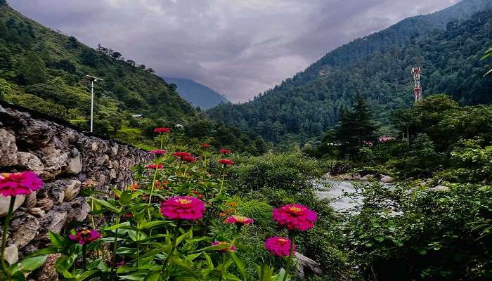 Amazing view of Tirthan River