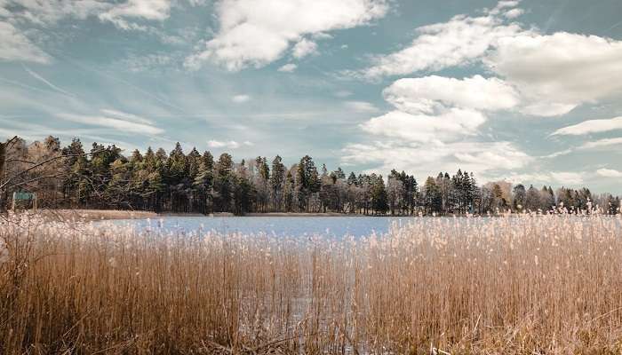 Beautiful lake view during the rainy season