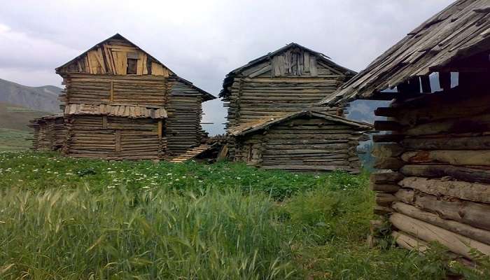 Lush green Tulail Valley with traditional Kashmiri wooden houses