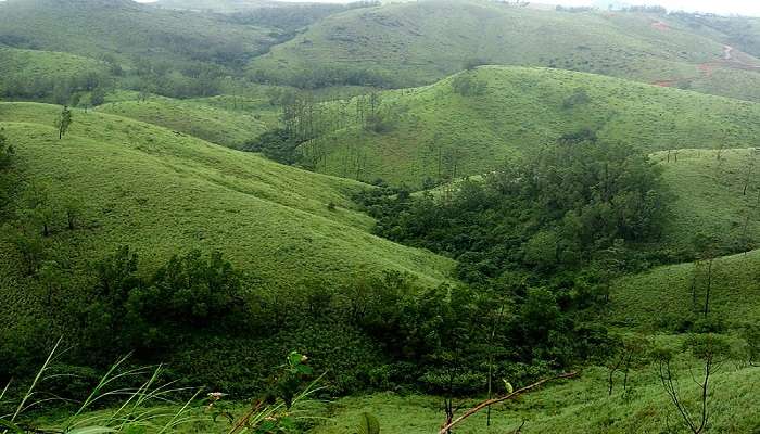 Vagamon Hill Station which bestows a combination of rolling hills and lush green valleys