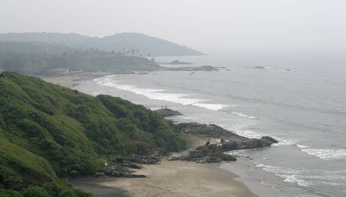 Red cliffs with golden sands on Vagator Beach, fringed by palm trees lining the shore 