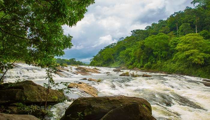 Vazhachal Waterfalls in Kerala near the Charpa Waterfalls. 