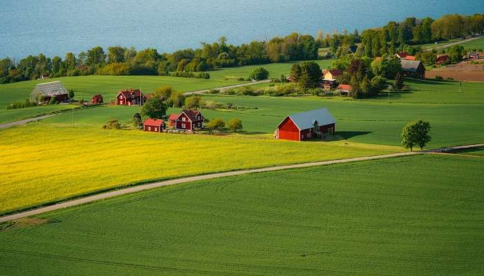 The farms that help Velangudi eat and earn with pride. 