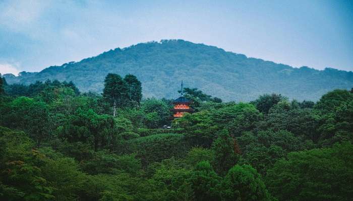 Panoramic view of Vellingiri Hilltop, showcasing the serene temple dedicated to Lord Shiva surrounded by lush greenery and breathtaking landscapes.