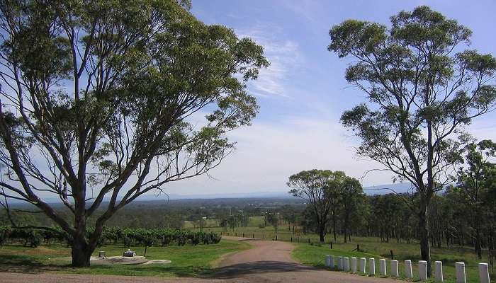 Hunter Valley, is a peaceful place to visit in Newcastle