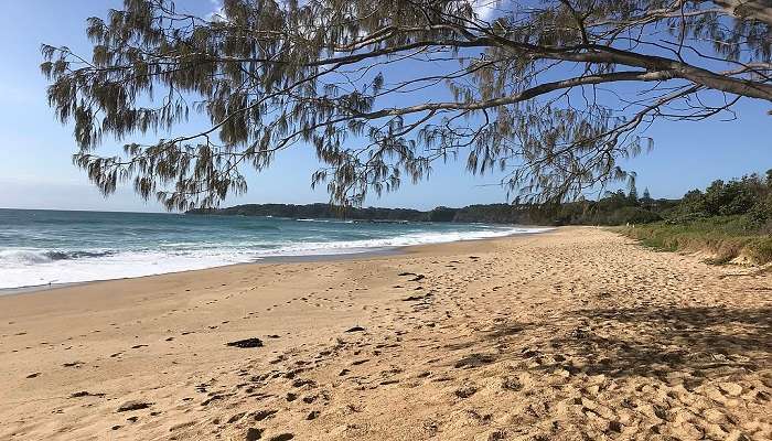 The peaceful Newcastle Beach