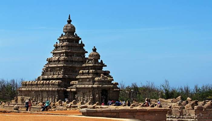 Embark on a journey to the Shore Temple near the Krishna Butterball 