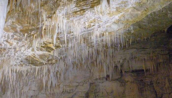 Visite de la grotte Ruakuri