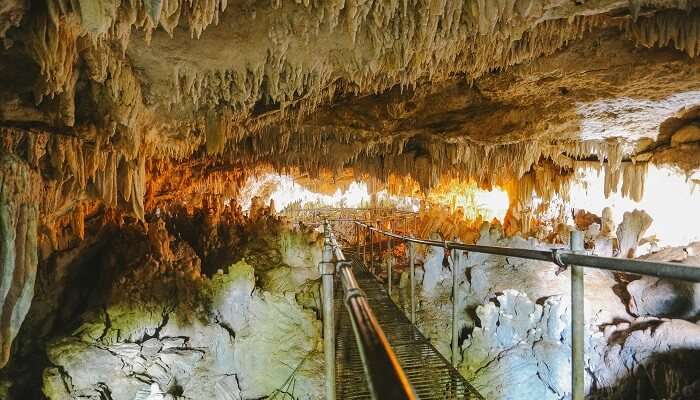 Visite de la grotte des vers luisants