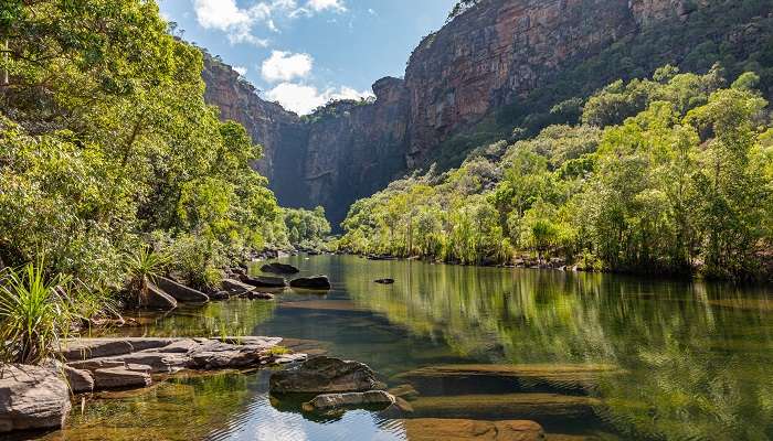 Visite du parc national de Kakadu