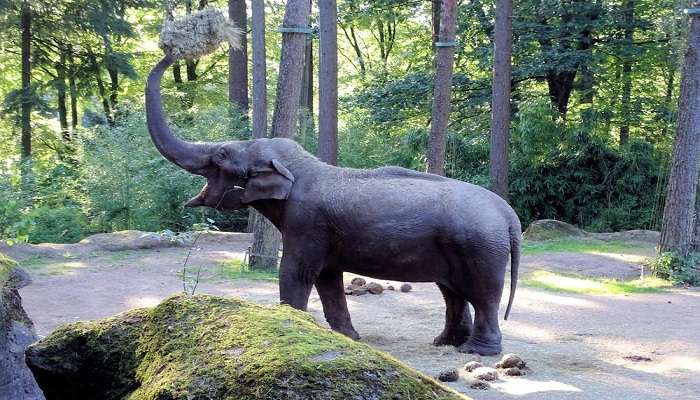 Visitor responsibility at the Dehradun zoo.