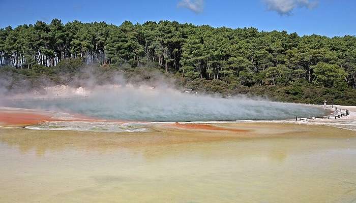 The surreal Devil's Bath at Waiotapu Thermal Wonderland, showcasing bright green water in a geothermal pool.