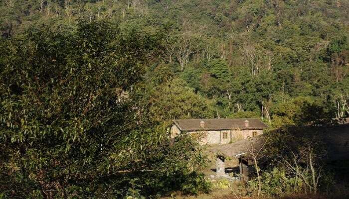 a view of wild brook retreat