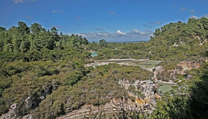 A panoramic view of Waiotapu Thermal Wonderland in Rotorua, New Zealand, with steaming geothermal features and vibrant landscapes.