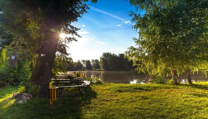 Marvel at Craignano National park. 