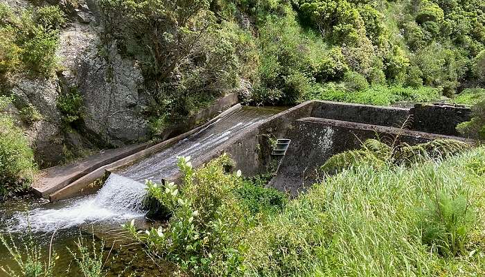 Dam in Belmont Regional Park