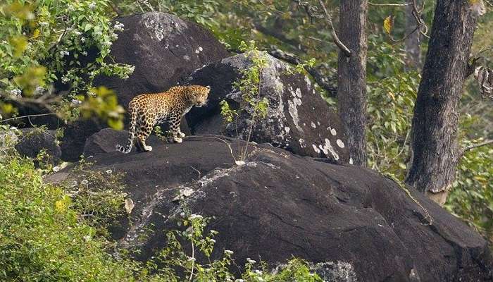 Narasipuram is located at the base of the Western Ghats in Coimbatore, Tamil Nadu