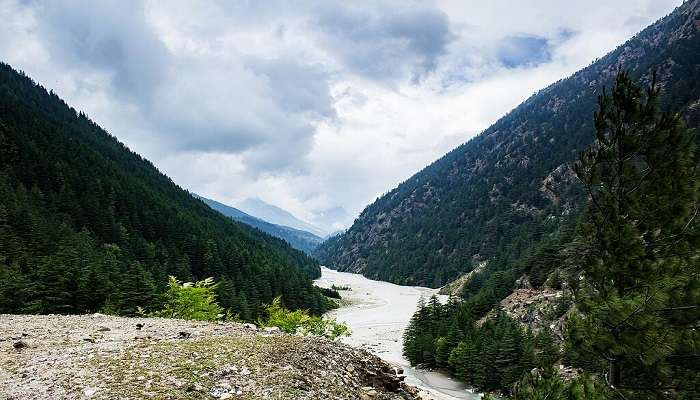 Learn about the Gangotri National Park