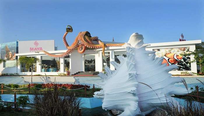 Learn about the India Seashell Museum