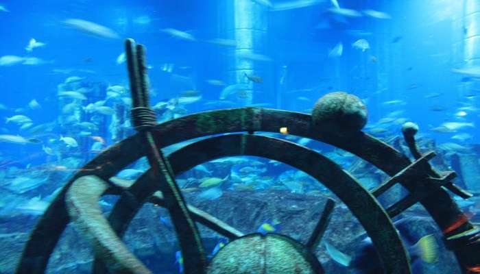 Delve into a world of ecstasy at the Lost Chambers Aquarium