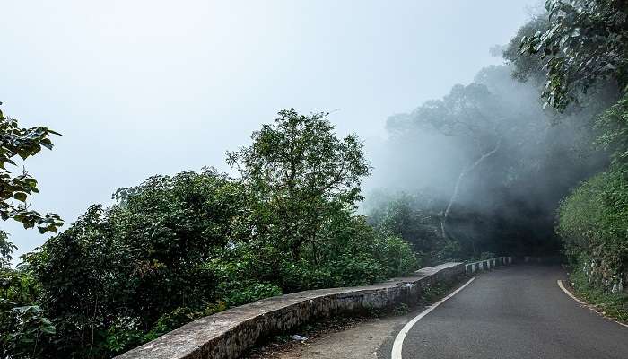 The Bangalore to Ooty road trip is one of the most mystical journeys to set out for!