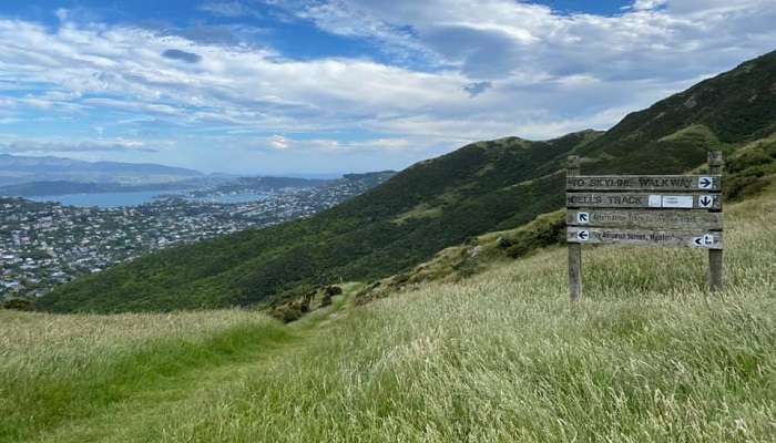 Belmont Regional Park in New Zealand