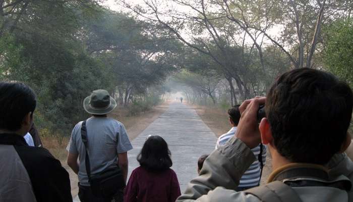 The area around the waterfall is home to a variety of bird species