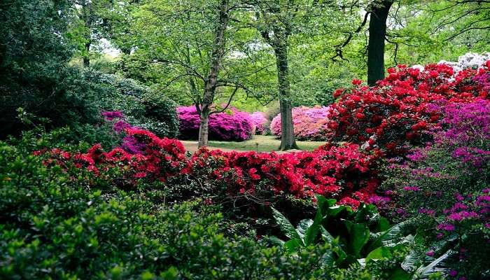 Beautiful Company Garden in Kempty Falls